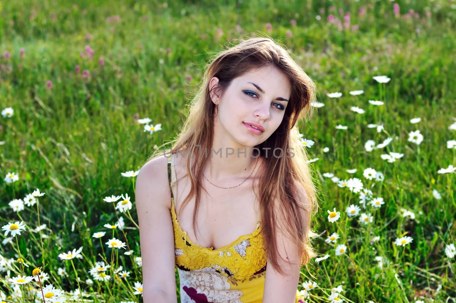  tender attractive girl relaxing  in the daisy field 