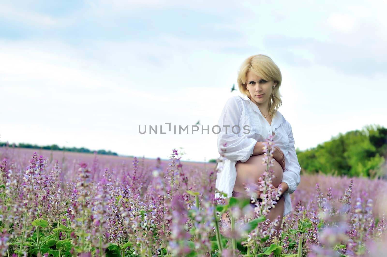 beauty pregnant blonde  woman in field of flowers