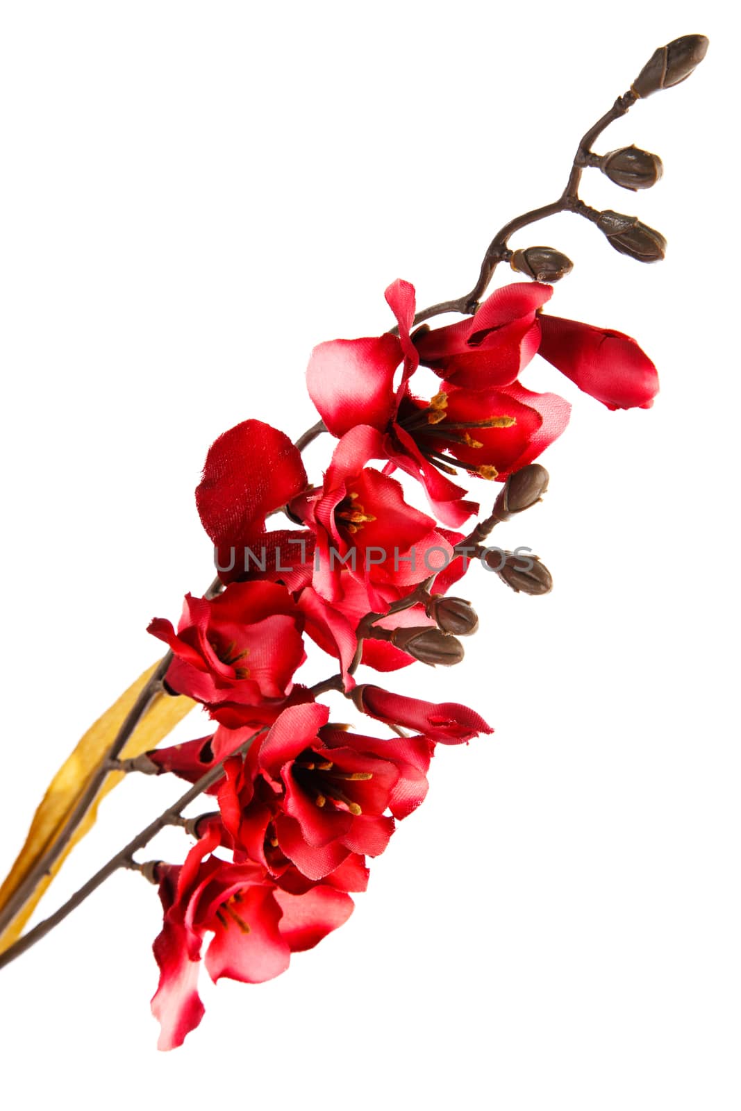 red artifical flowers isolated on white