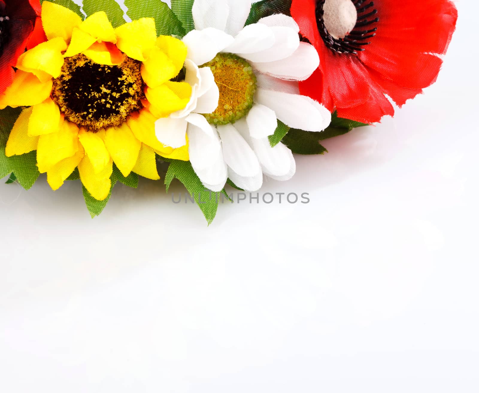 colorful flowers isolated on white