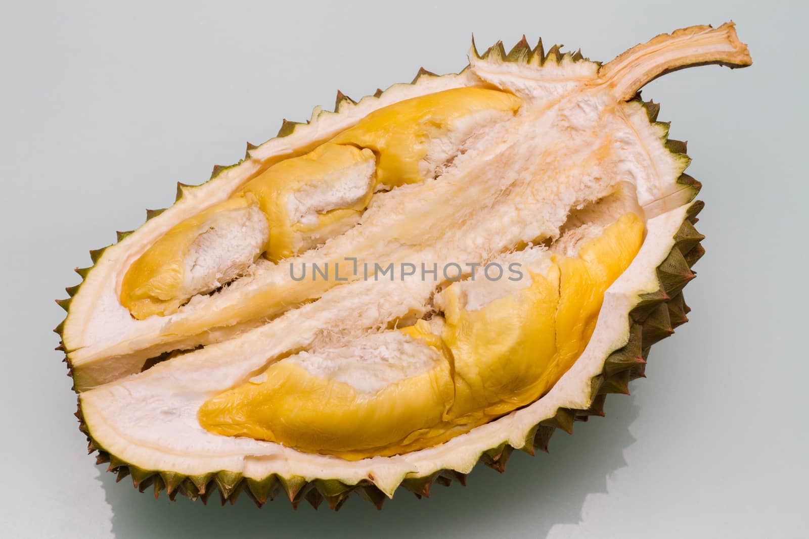 Tropical fruit Malaysia Durian in plain background