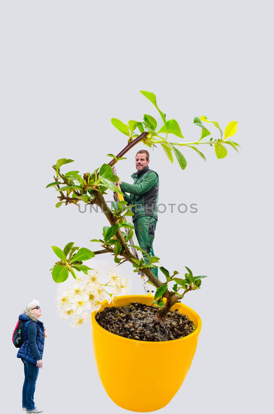Abstract, woman and man with bonsai tree by JFsPic