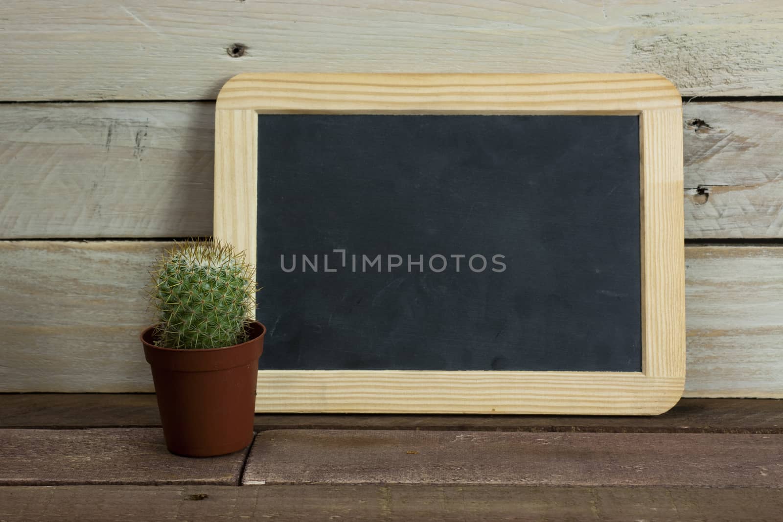 Cactus and blackboard set against a worn wooden background