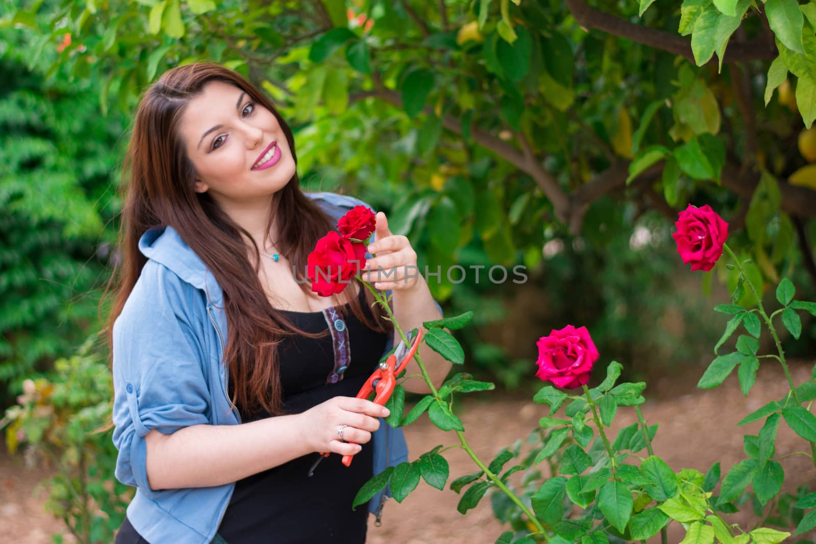 Beautiful caucasian girl cutting a red rose from the garden.