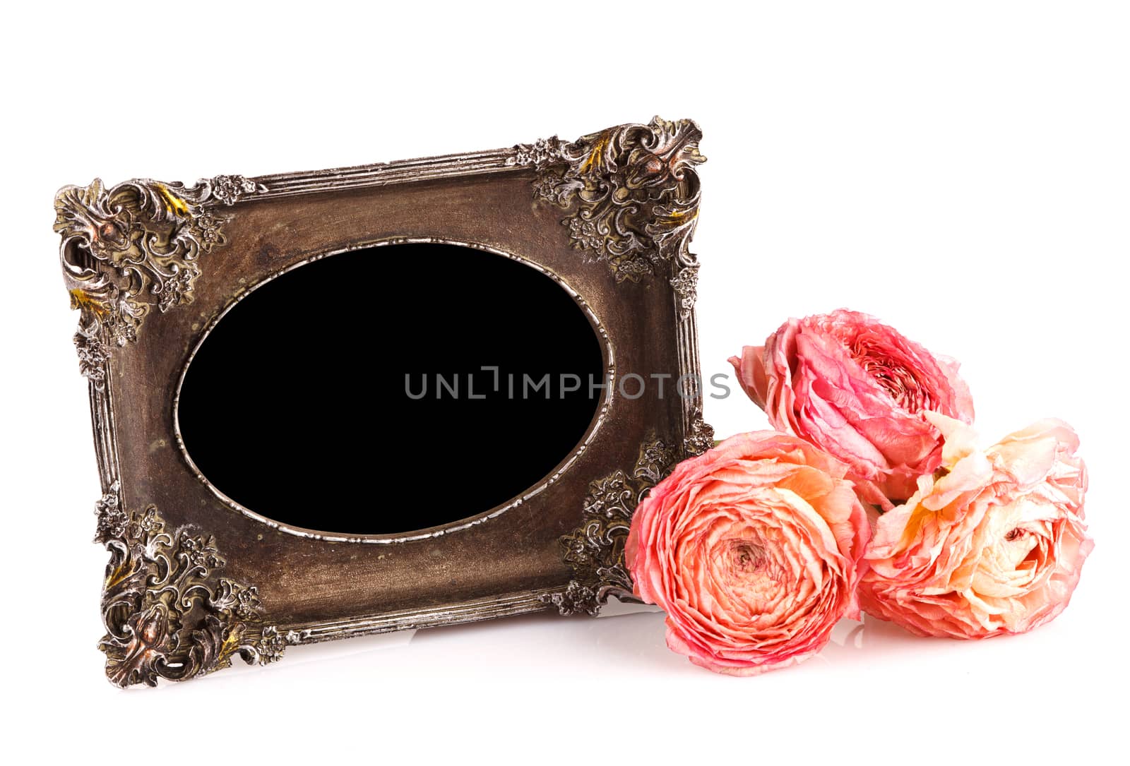 empty vintage frame with dry rose, clipping path