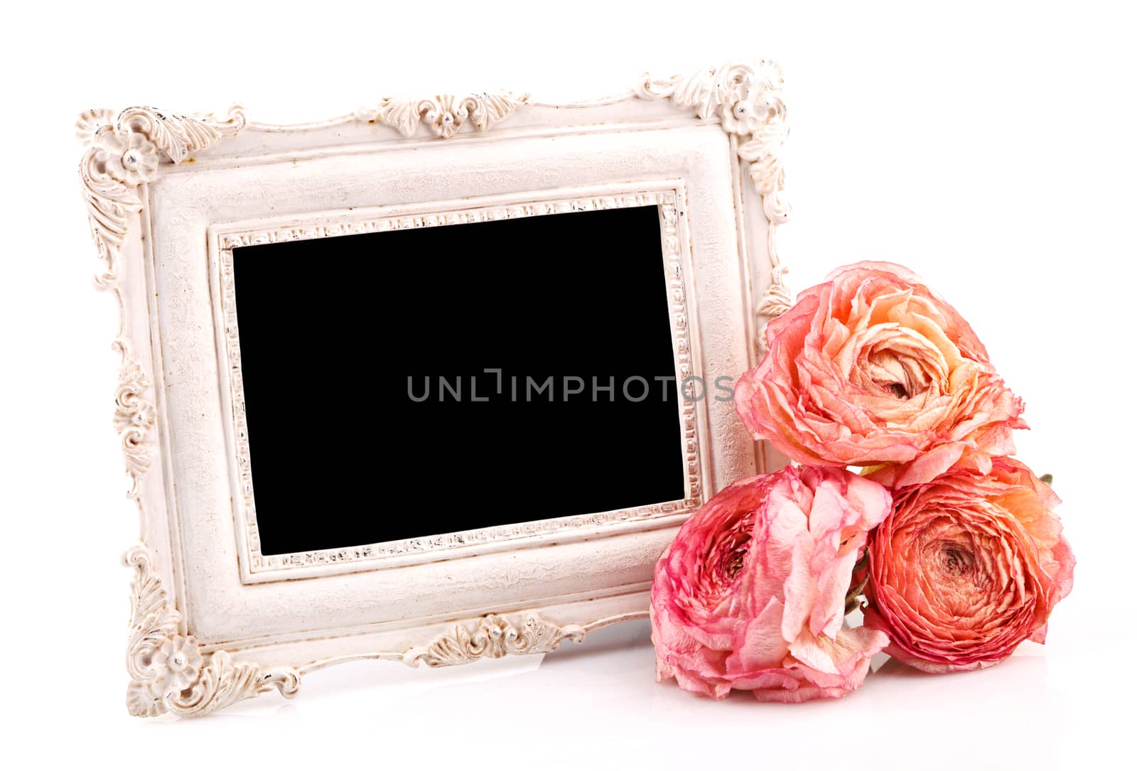 empty vintage frame with dry rose