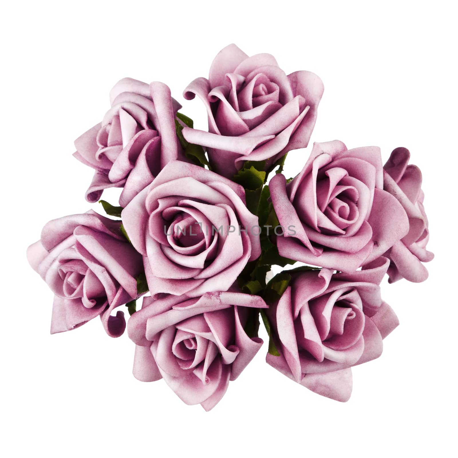 bouquet of purple roses isolated on white background