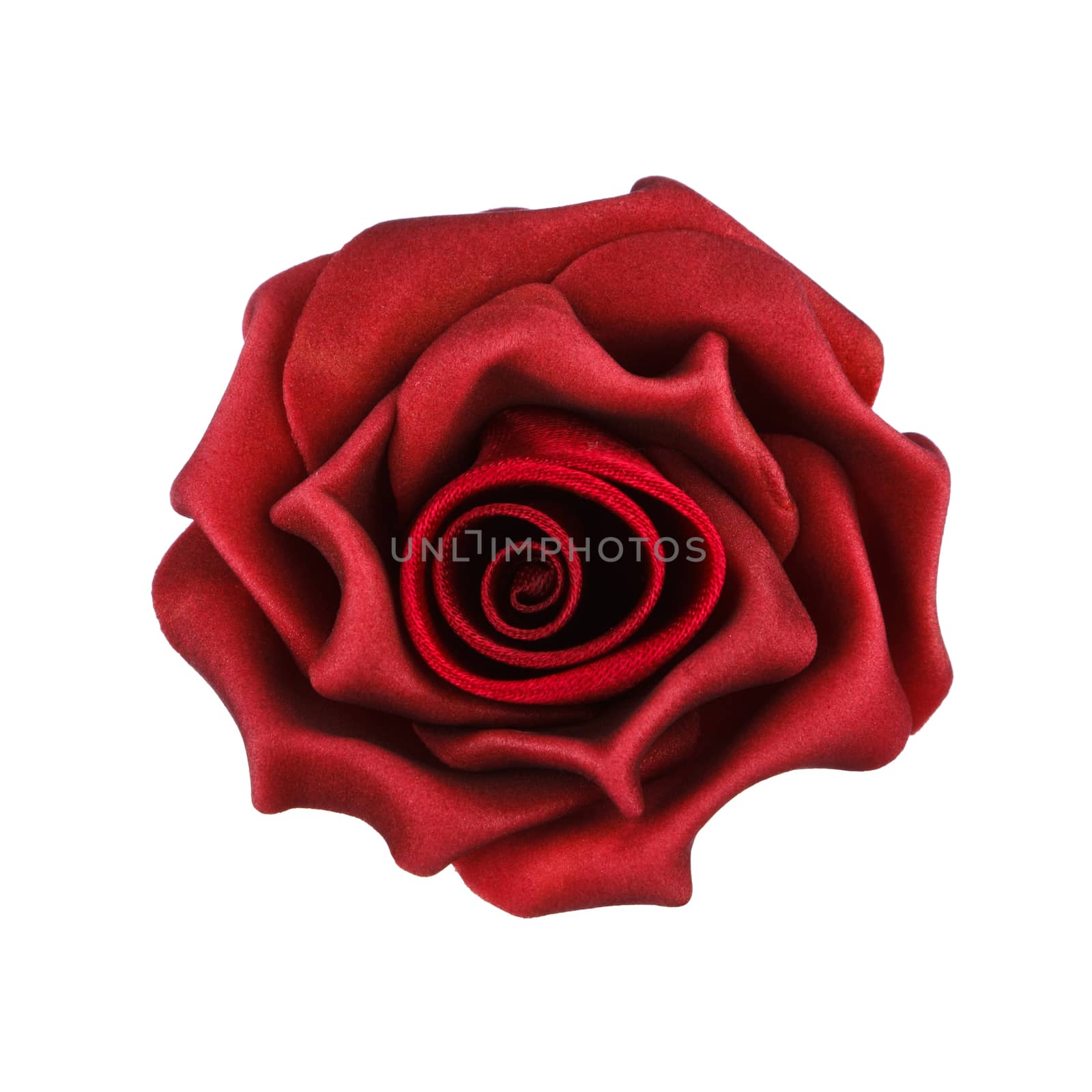 red rose isolated on white background