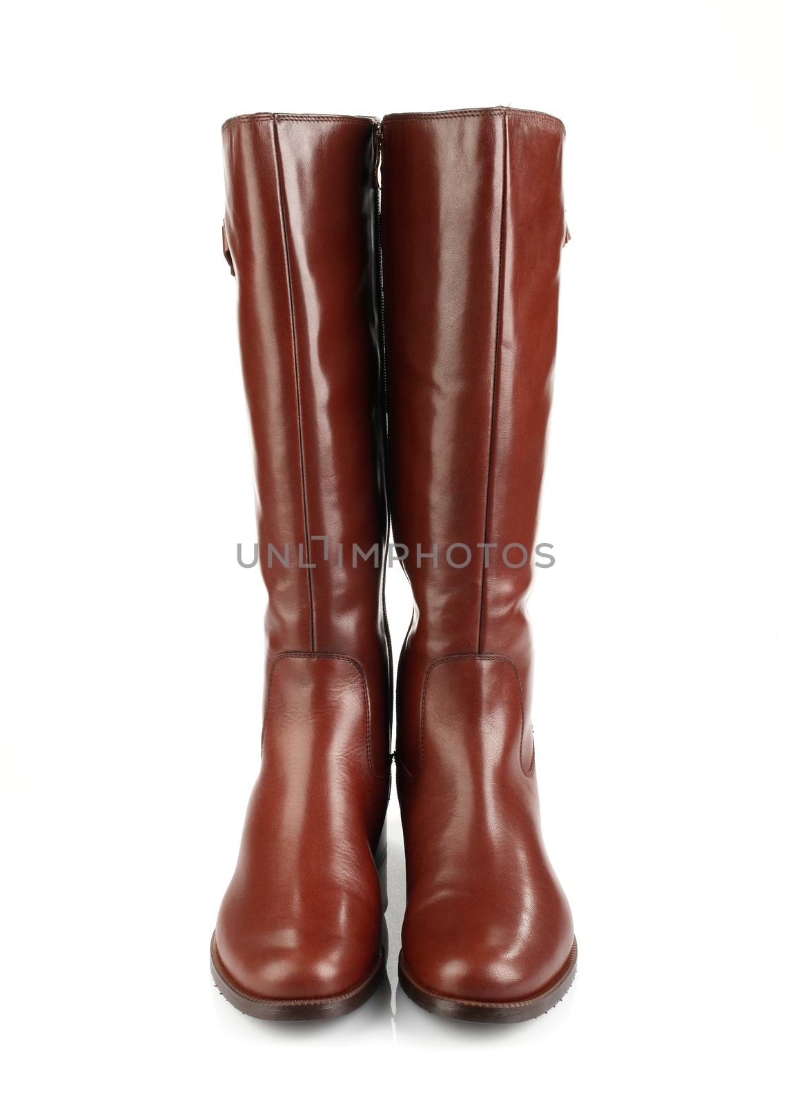 brown female boots isolated on white background front view