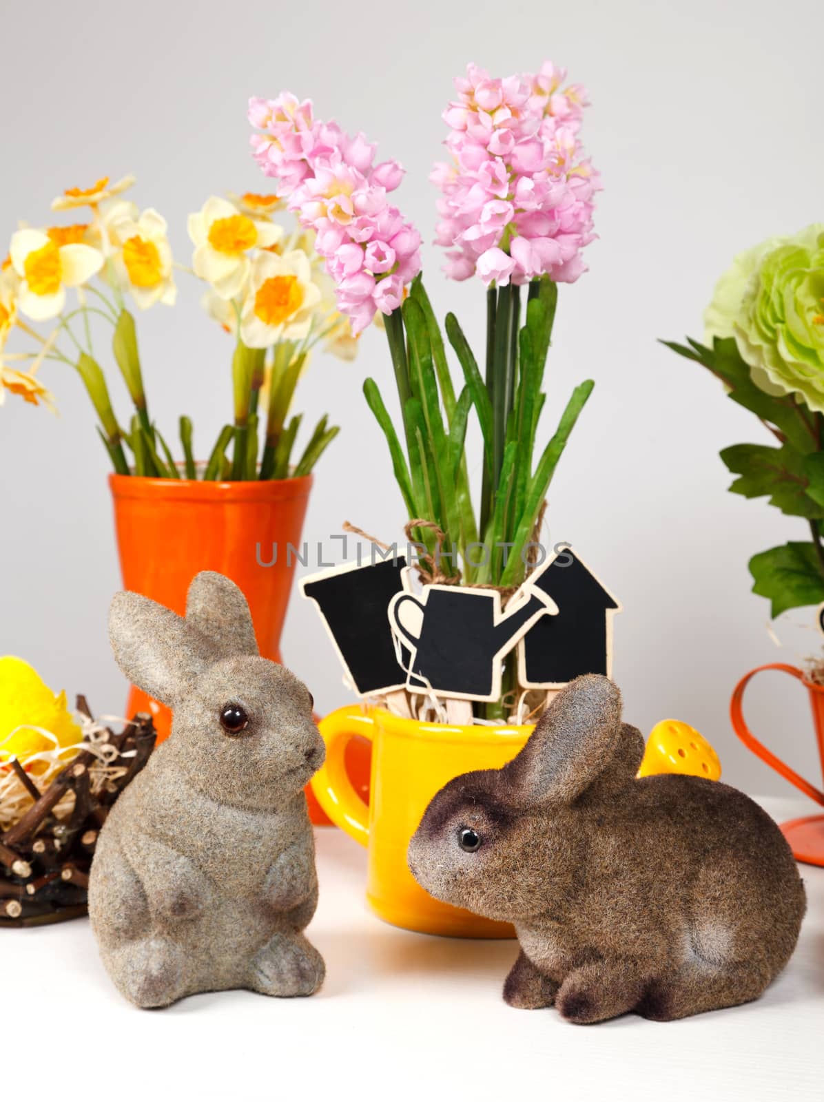 Easter bunny by serkucher
