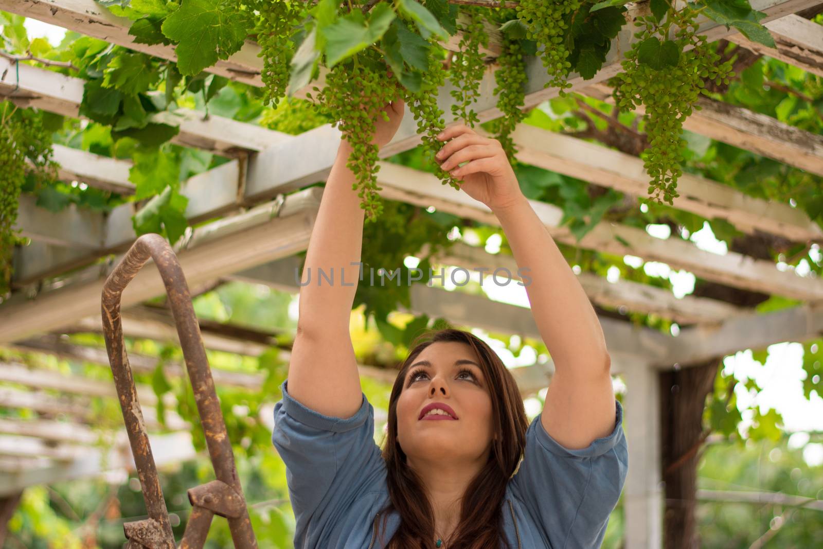 Nice, beautiful caucasian girl in the vineyard, on a rusty ladder.