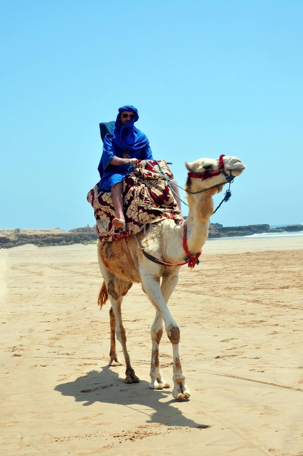 morocco berber riding camel on the atlantic ocean beach