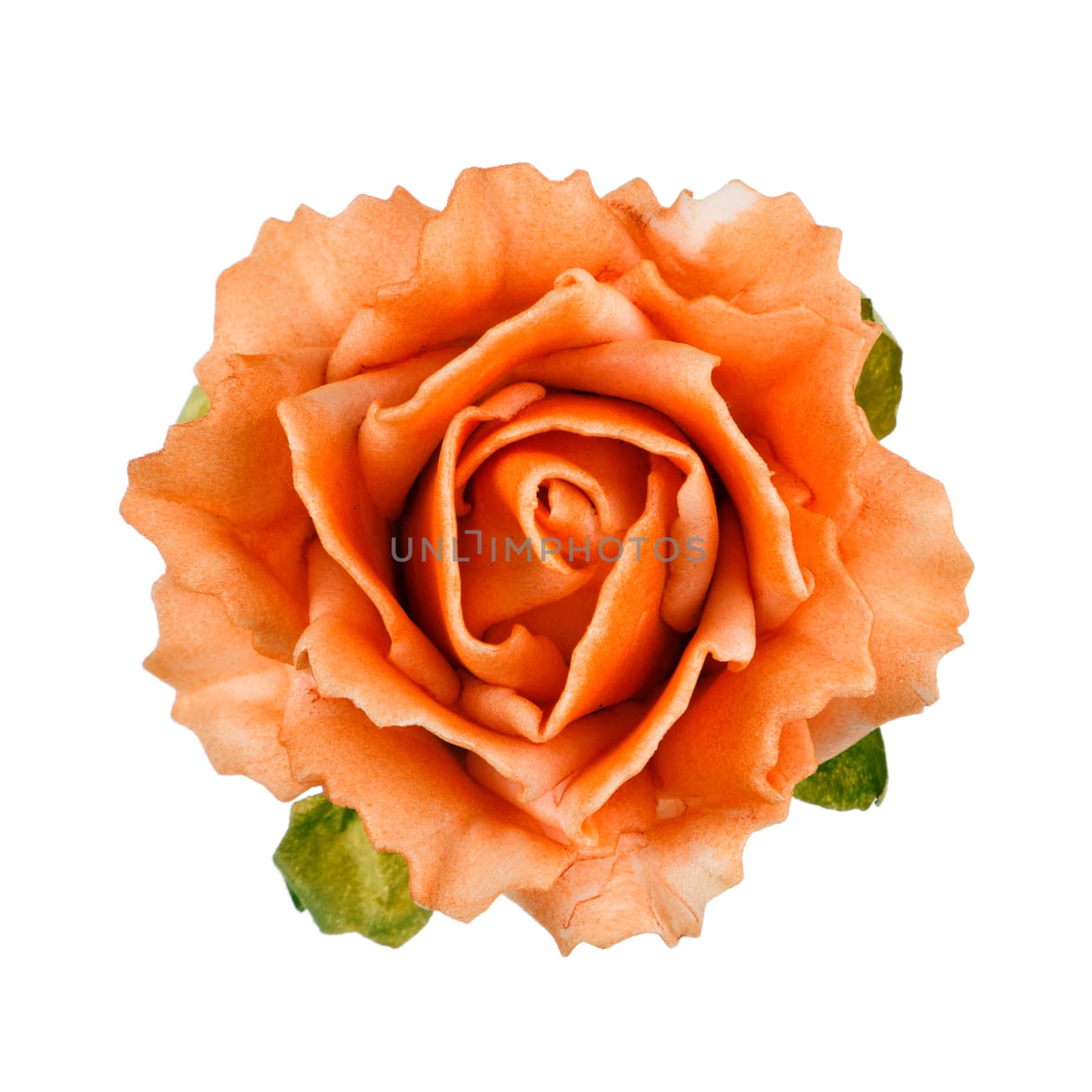 orange flower isolated on white background