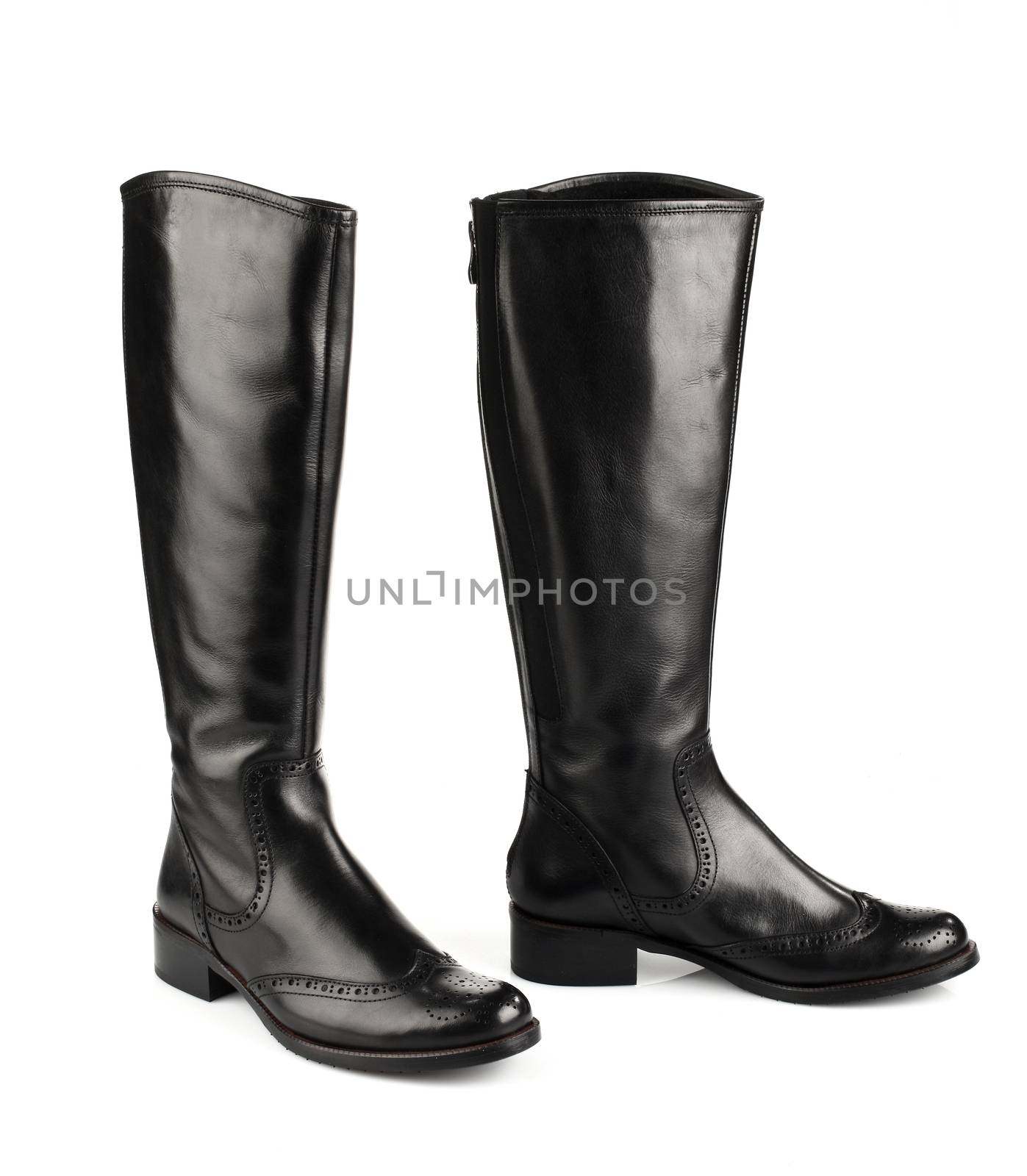 Black leather female boots isolated on white background 