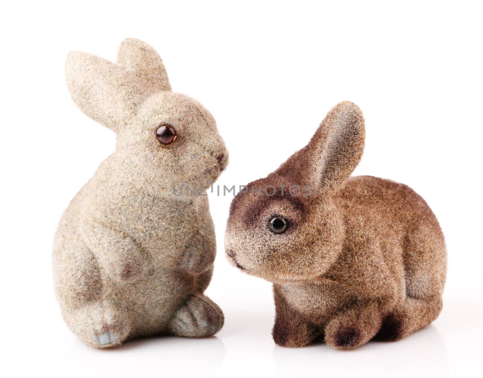 couple of easter bunnies isolated on white background