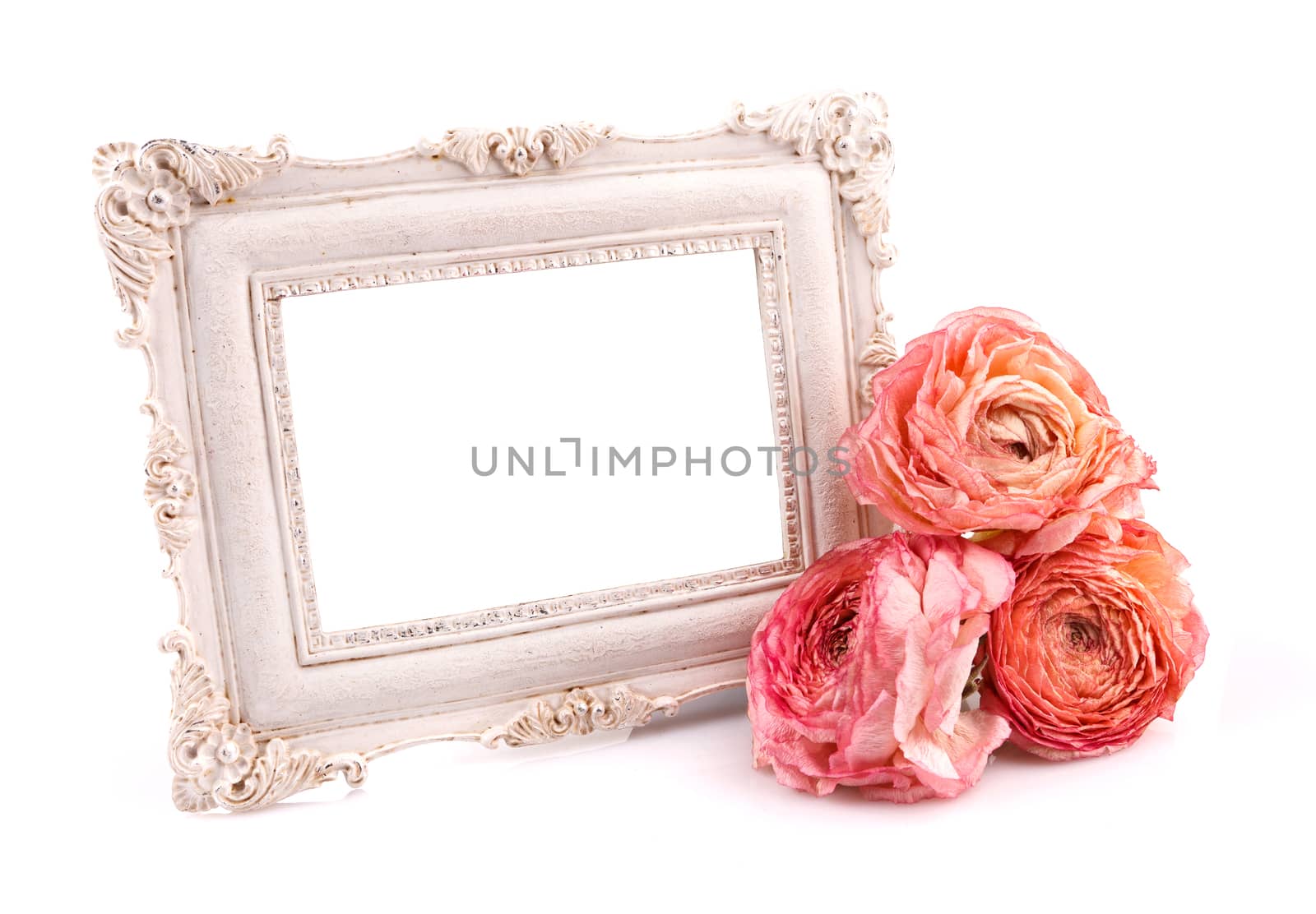 empty vintage frame with dry rose