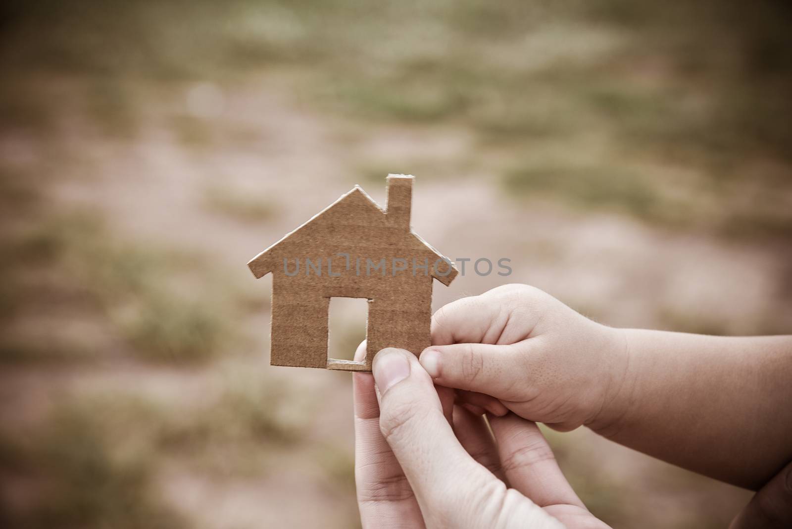 The concept of building houses on vacant land. For me and family