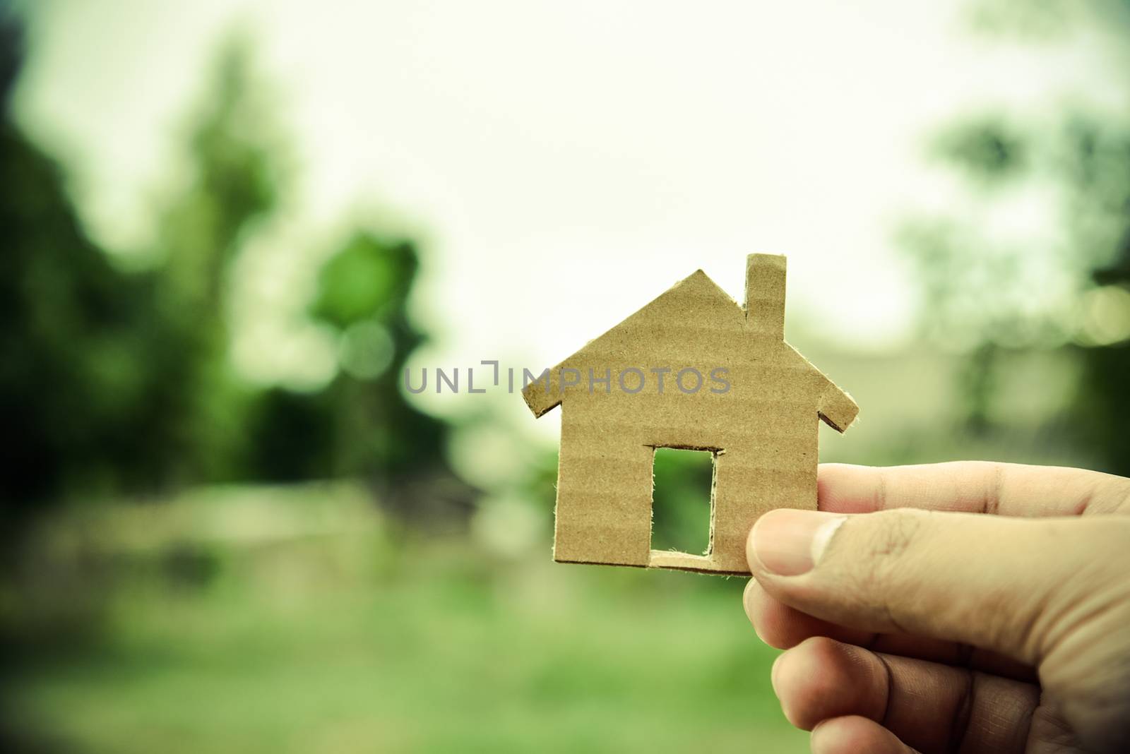 The concept of building houses on vacant land. For me and family