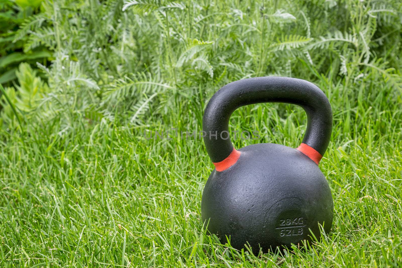 heavy iron competition kettlebell (62lb - 28 kg) on green grass in backyard - outdoor fitness concept