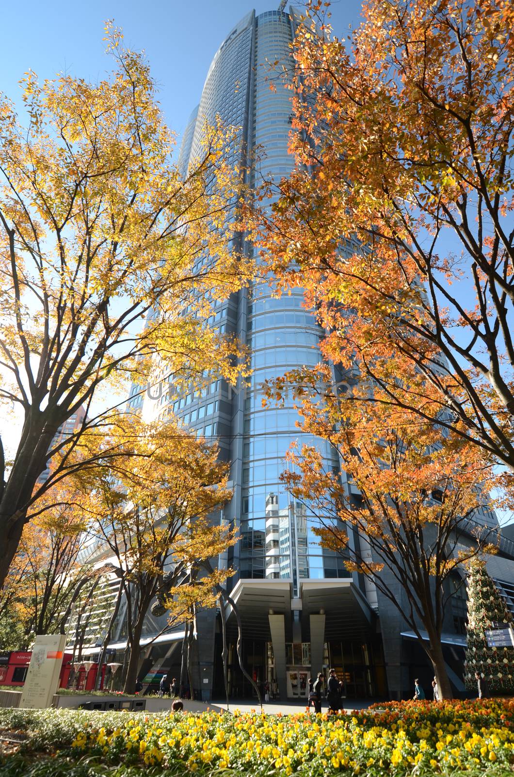 Tokyo, Japan - November 23, 2013: People visit the Mori Tower in Roppongi Hills by siraanamwong