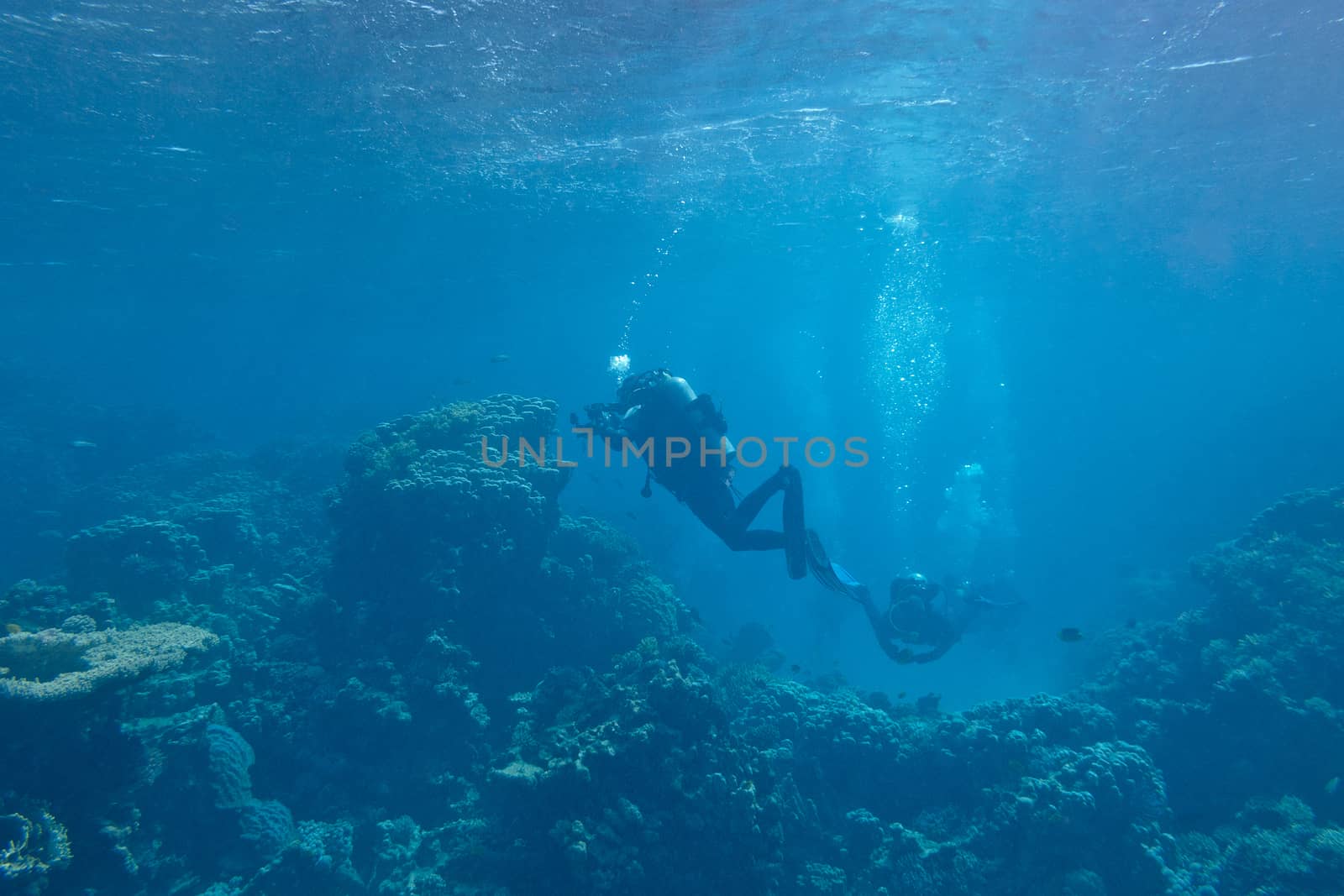 divers over a coral reef in tropical sea, underwater