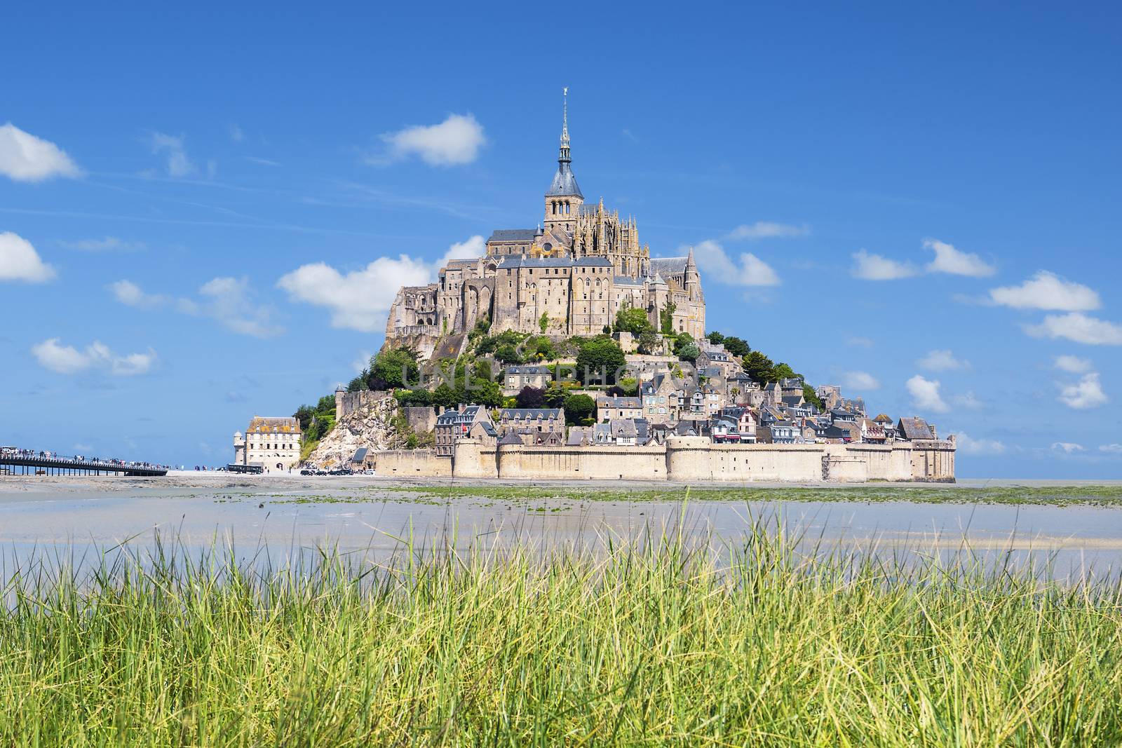 View of famous Mont-Saint-Michel and green grass, France, Europe.