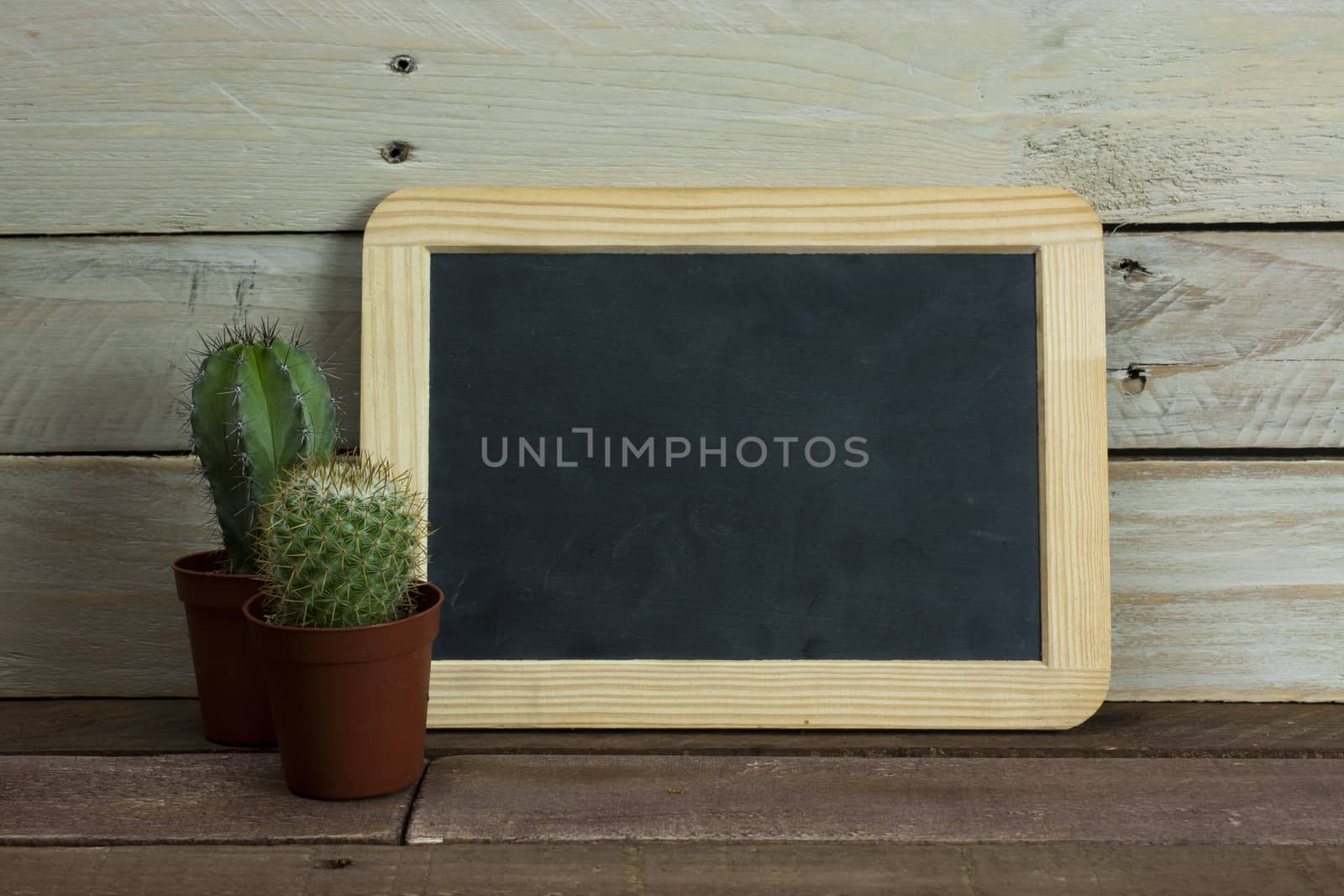 Cactus and blackboard set against a worn wooden background