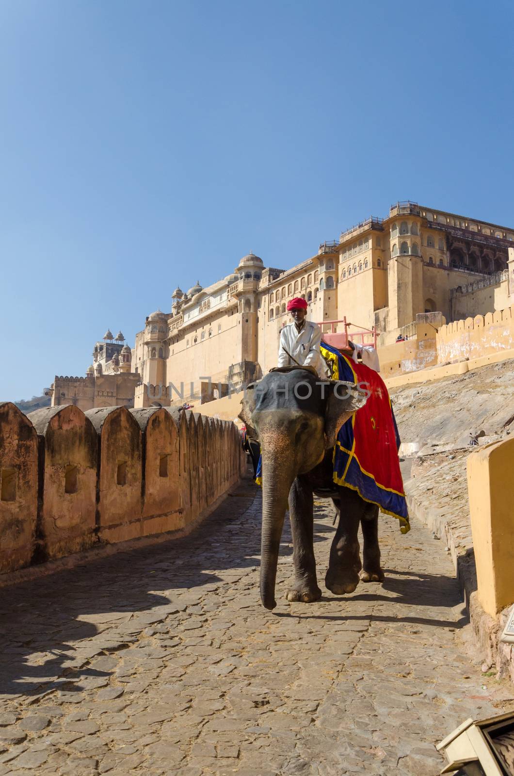 Jaipur, India - December 29, 2014: Decorated elephant at Amber Fort in Jaipur on December 29, 2014 in Jaipur, Rajasthan, India.