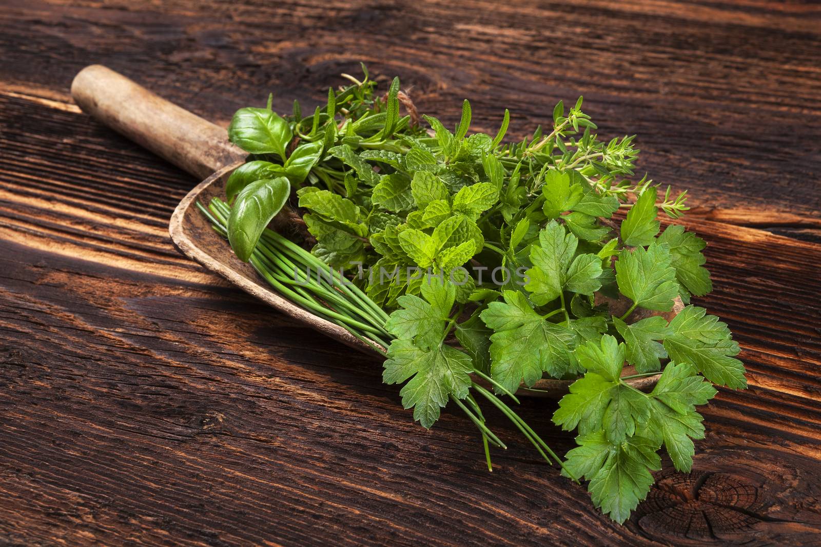 Various aromatic culinary herbs. Thyme, marjoram, basil, mint, chives and parsley on wooden spoon, with old scissors on old brown wooden background. Rustic, vintage, natural, country style images.