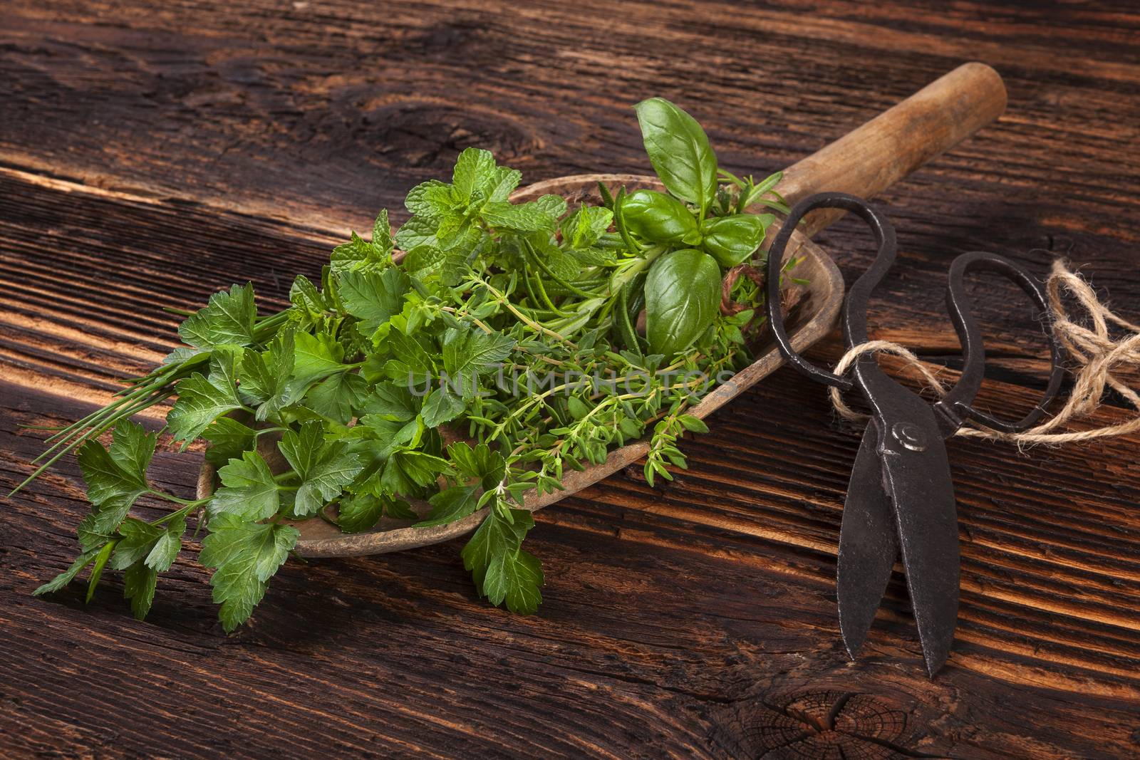 Various aromatic culinary herbs. Thyme, marjoram, basil, mint, chives and parsley on wooden spoon, with old scissors on old brown wooden background. Rustic, vintage, natural, country style images.