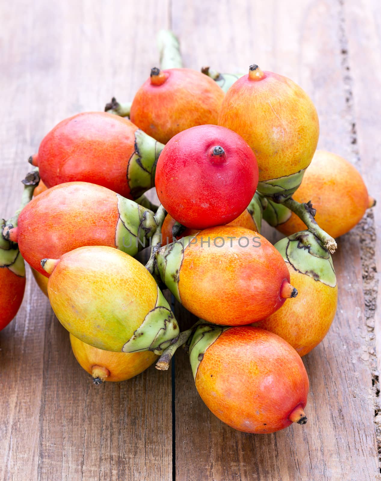 Beautiful Royal Palm seed fruit on wooden plate