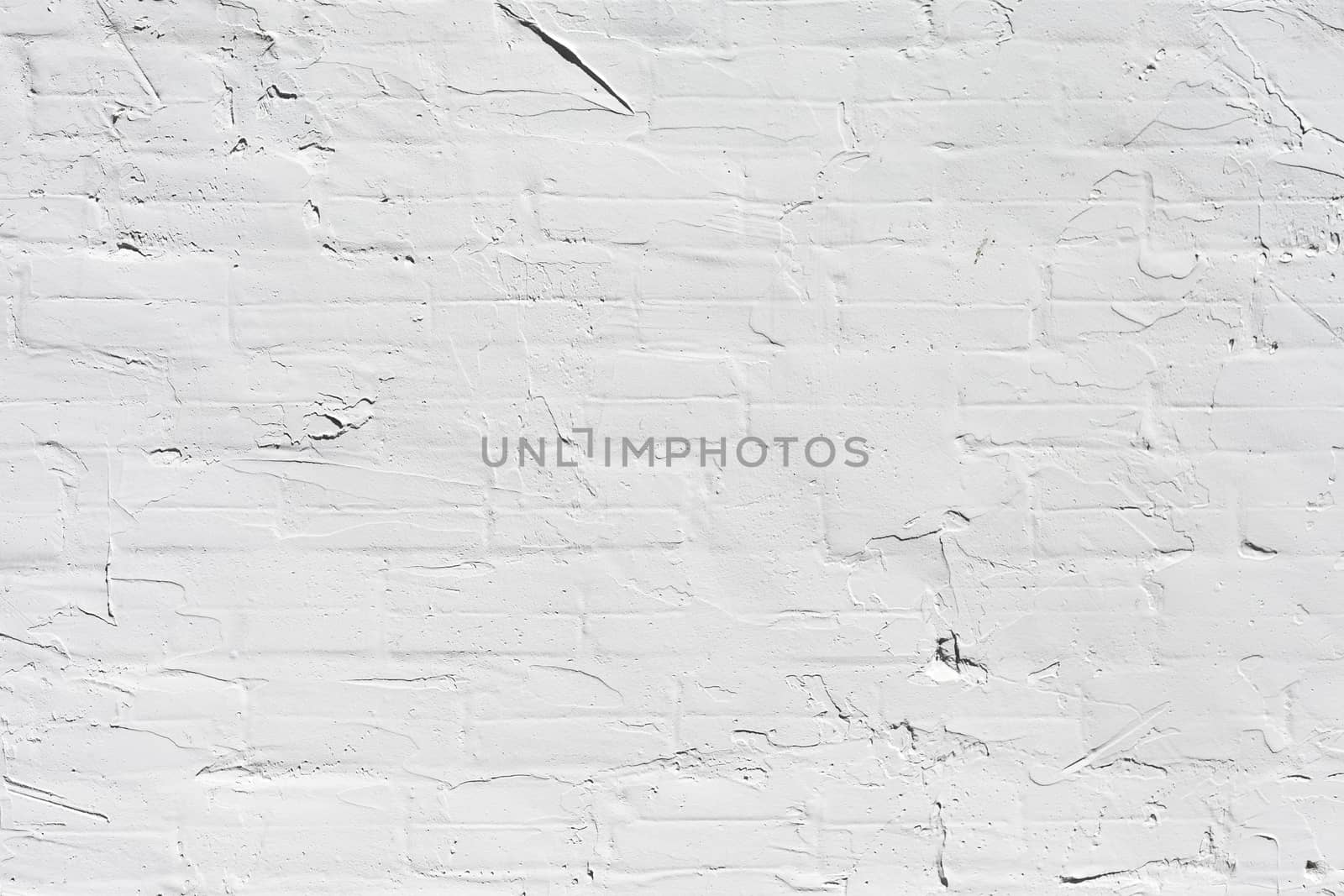 Grunge white background cement old texture wall