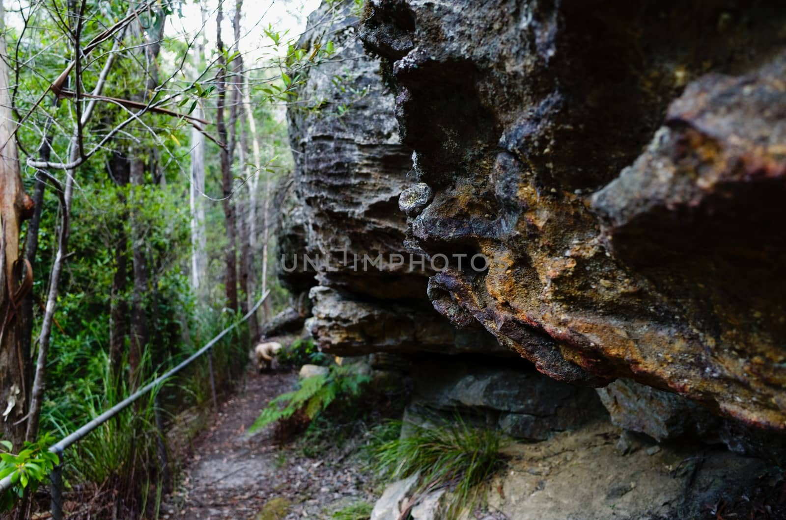 Trail beside rock formations by jaaske