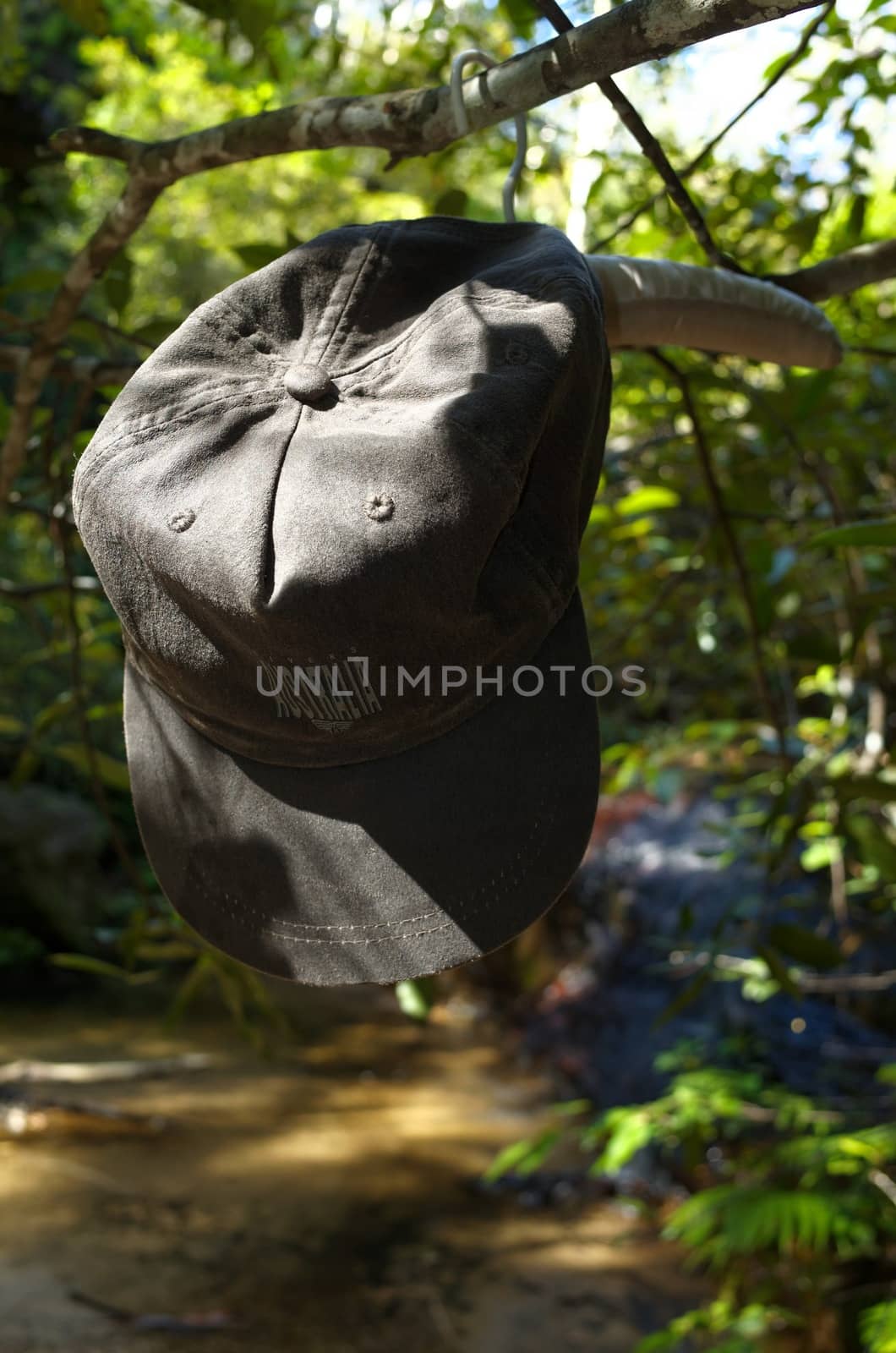 Australia cap hanging from tree branch on clothes hanger  by jaaske