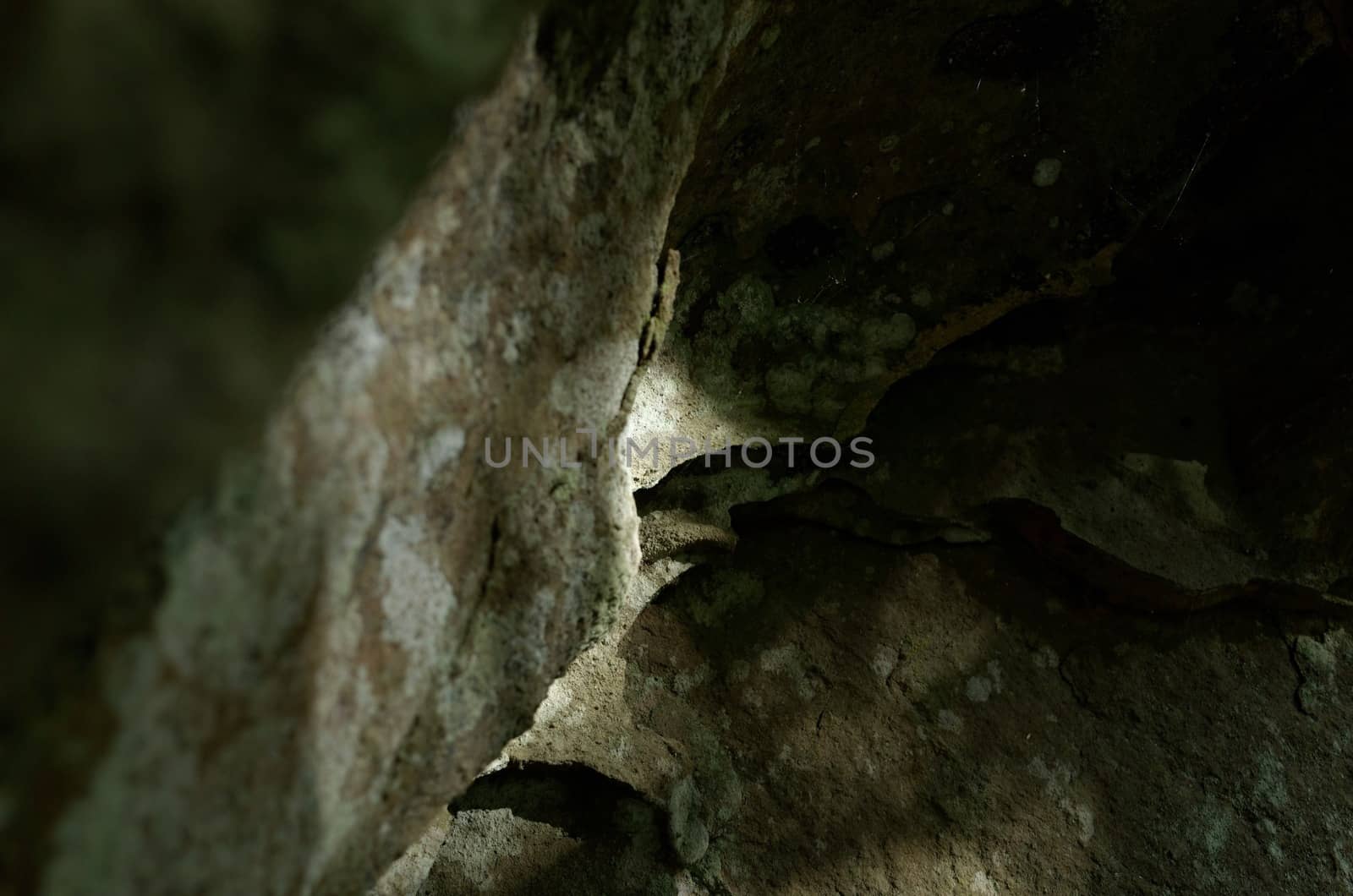 A rock face. The Blue Mountains, New South Wales, Australia.