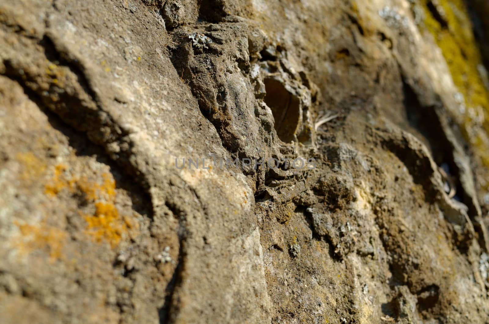 A rock face. The Blue Mountains, New South Wales, Australia.