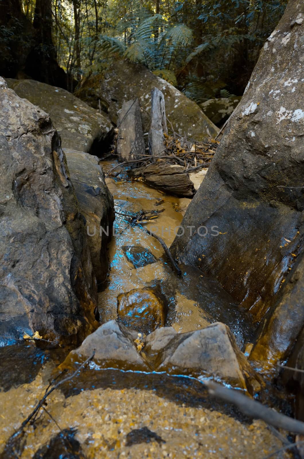 A rock face. The Blue Mountains, New South Wales, Australia.