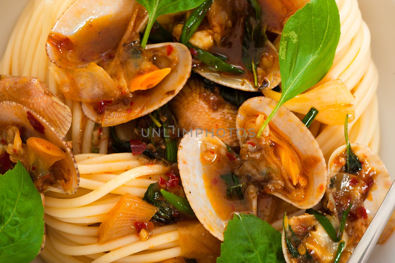 A white plate with delicious spaghetti shellfish and green basil.