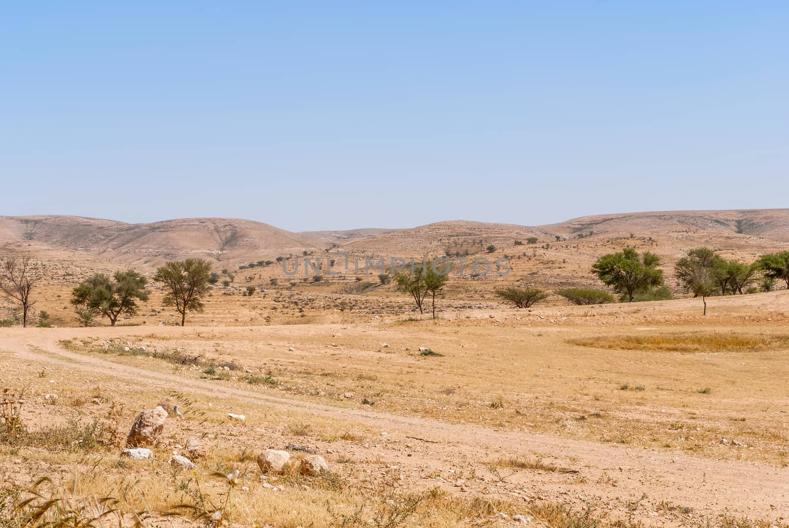 Lonely Road In The Negev Desert, Israel