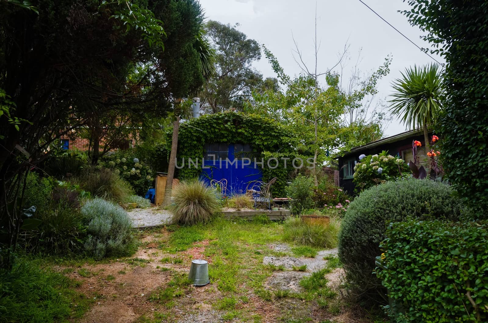 Overgrown suburban driveway with a bucket in the Blue Mountains, Australia