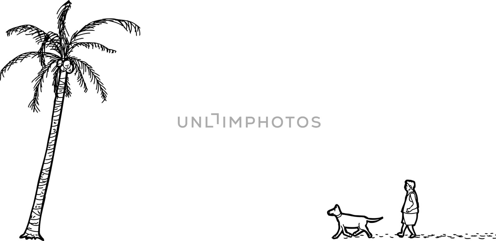 Outline cartoon of isolated man, dog and palm tree