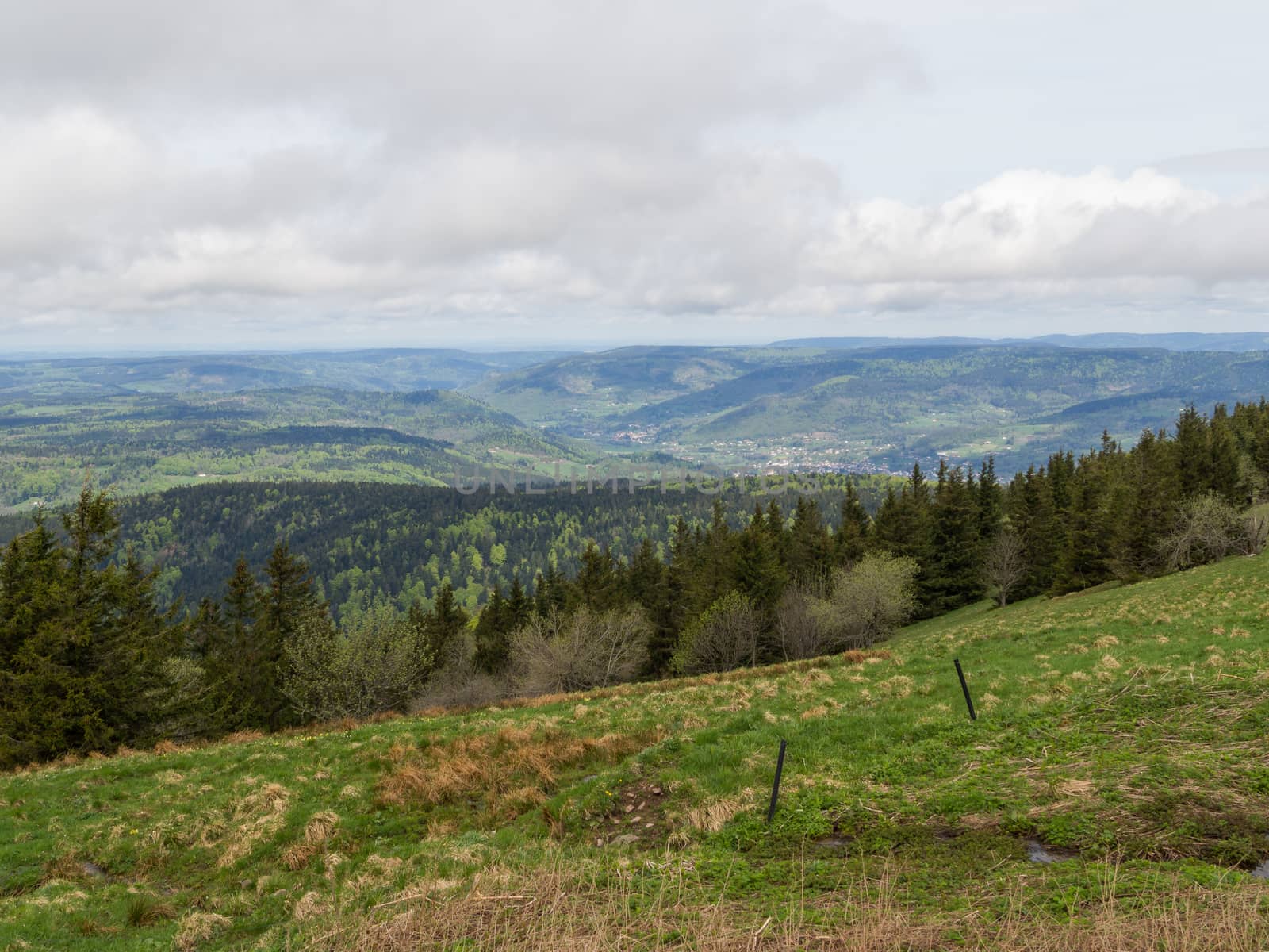 Overlooking the Vosges hills in France past a wet grassland