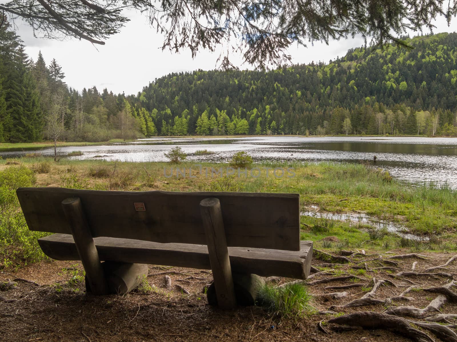 Old wooden bench by lake in hills by frankhoekzema