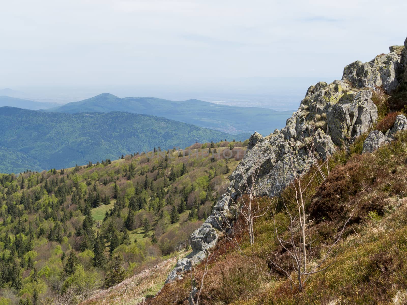 Looking past a cliff edge at the Vosges hills in France