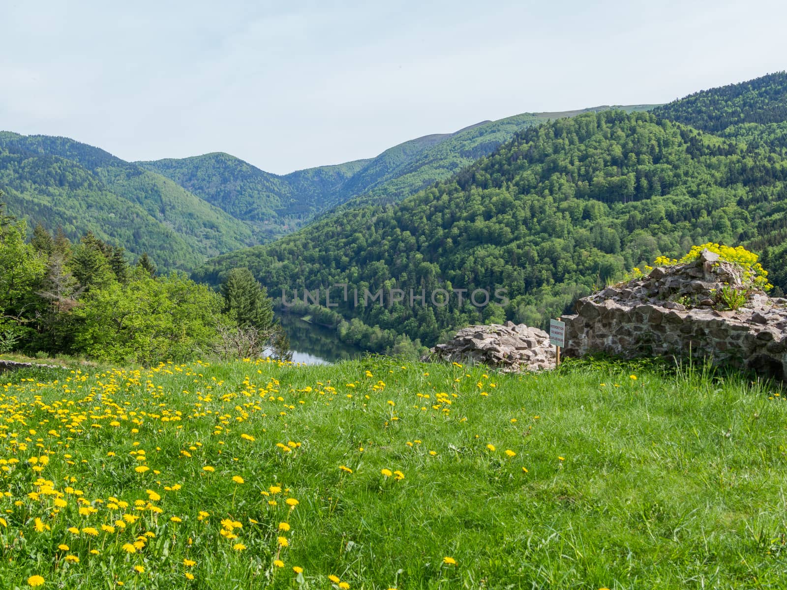 Lake in valley from a high perspective looking past a field of yellow flowers and over old ruins wall