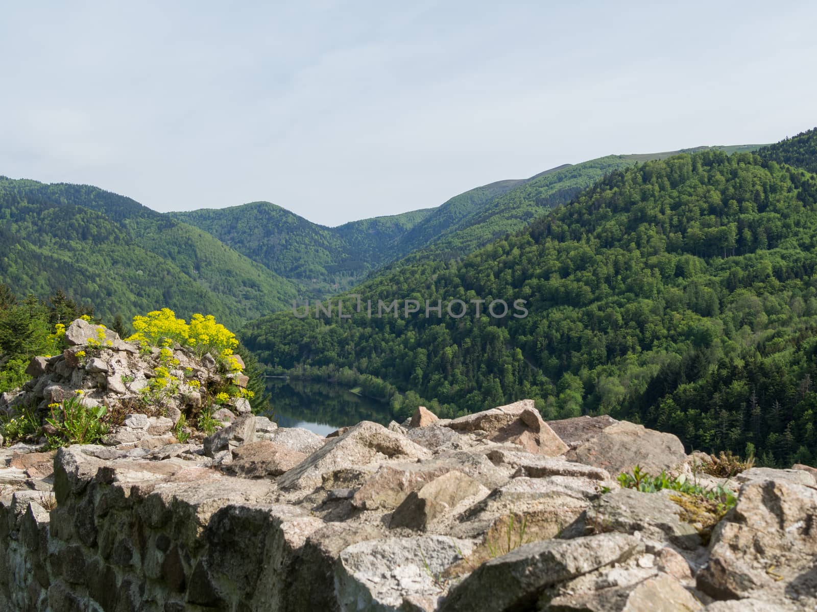 A valley and a lake from atop a wall of ruins in the vosges Hills in France