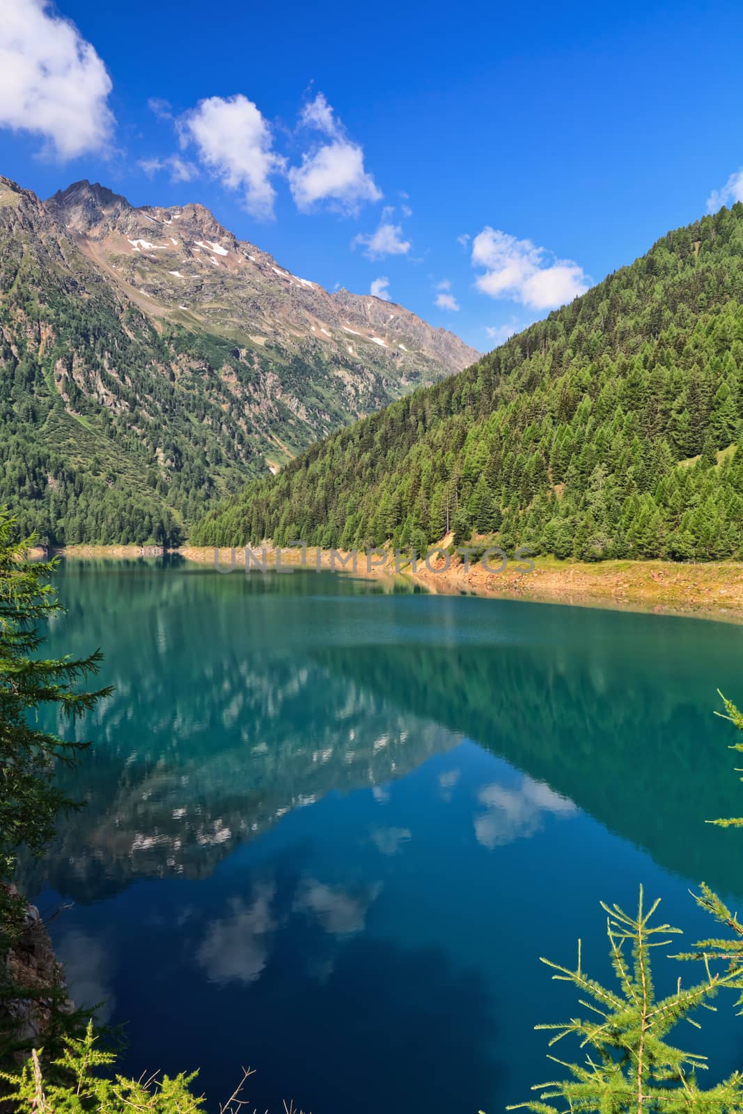 summer view of Pian Palu' lake in Pejo Valley, Trentino, Italy