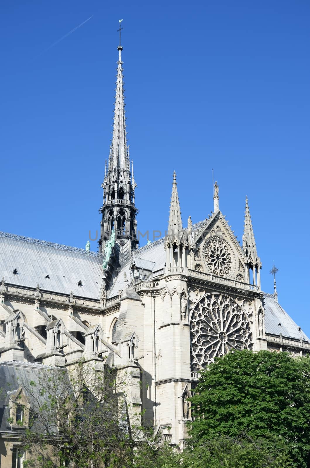 Side of Notre dame  Cathedral paris