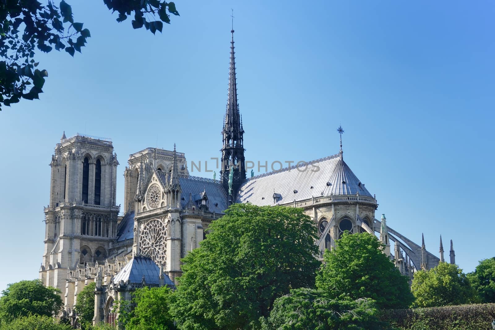 Notre dame from river seine