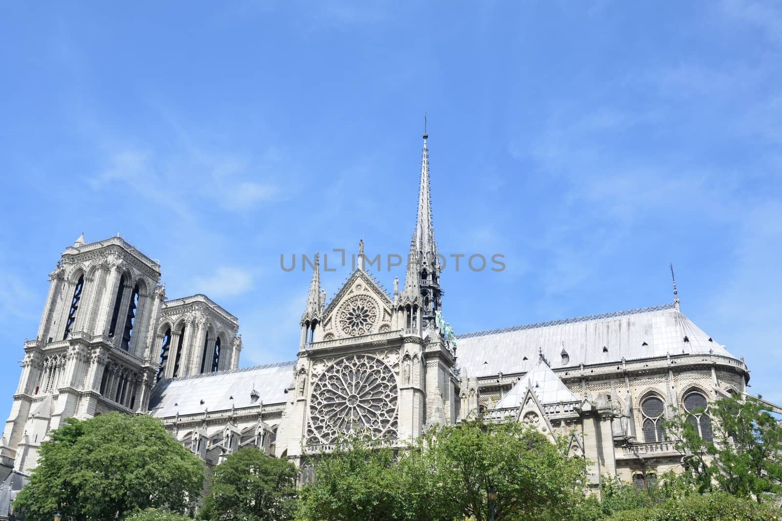 Notre dame from boat on river seine